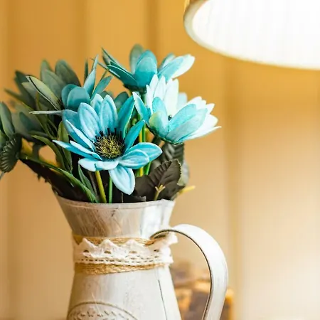 Jet Set מלון פאלה